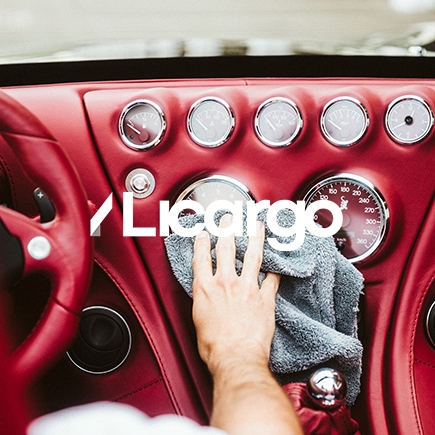 Licargo Autopflege