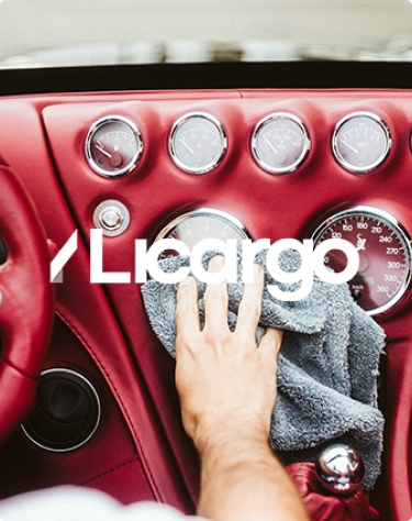 licargo autopflege